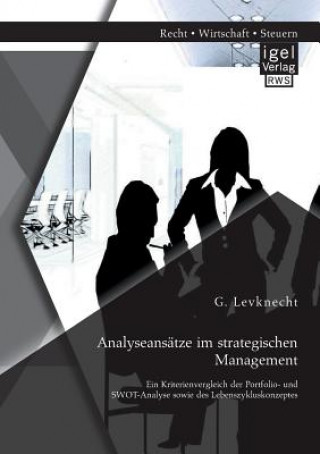 Kniha Analyseansatze im strategischen Management Gunnar Levknecht