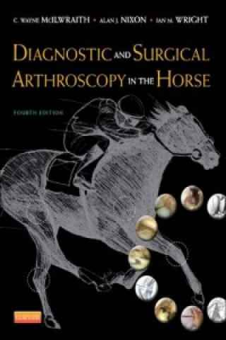 Kniha Diagnostic and Surgical Arthroscopy in the Horse C. Wayne McIlwraith