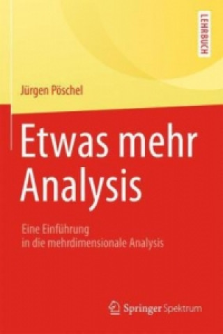 Carte Etwas mehr Analysis Jürgen Pöschel