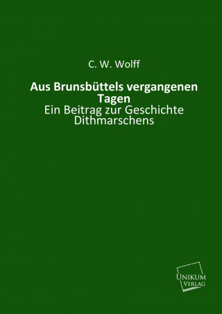 Book Aus Brunsbüttels vergangenen Tagen C. W. Wolff