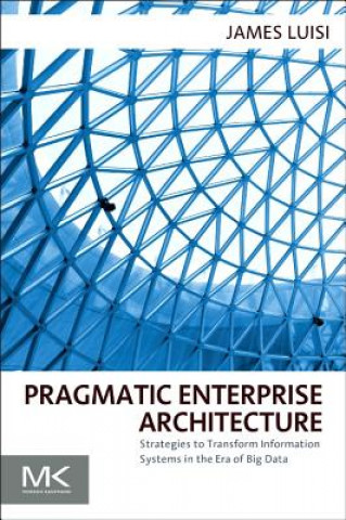 Kniha Pragmatic Enterprise Architecture James Luisi