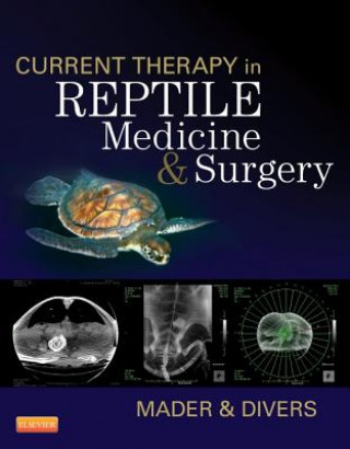 Carte Current Therapy in Reptile Medicine and Surgery Douglas R. Mader