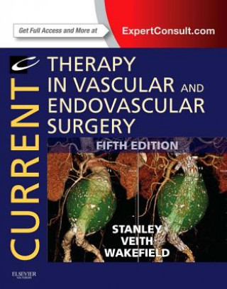 Könyv Current Therapy in Vascular and Endovascular Surgery James Stanley