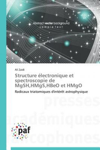 Könyv Structure Electronique Et Spectroscopie de Mgsh, Hmgs, Hbeo Et Hmgo Ali Zaidi
