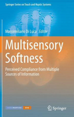Libro Multisensory Softness Massimiliano Di Luca