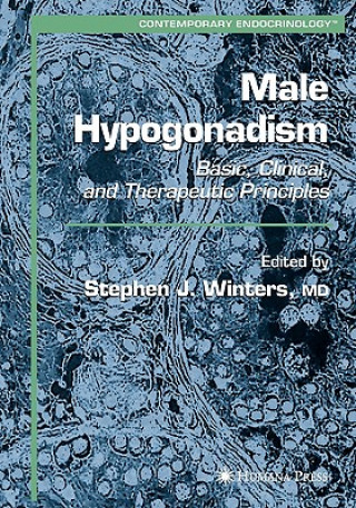 Kniha Male Hypogonadism Stephen Winters