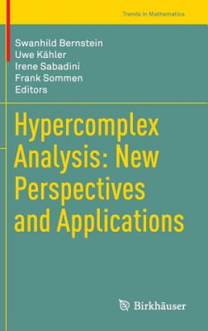 Kniha Hypercomplex Analysis: New Perspectives and Applications Swanhild Bernstein