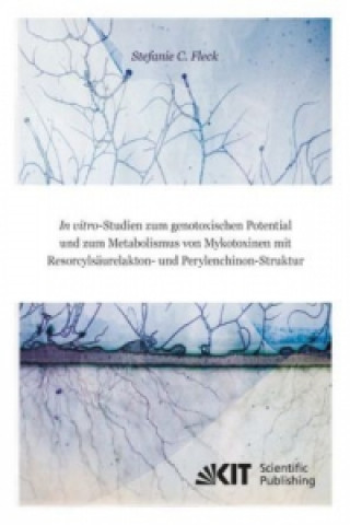 Könyv In vitro-Studien zum genotoxischen Potential und zum Metabolismus von Mykotoxinen mit Resorcylsaurelakton- und Perylenchinon-Struktur Stefanie Christina Fleck