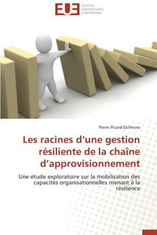 Carte Les Racines D Une Gestion R siliente de la Cha ne D Approvisionnement Pierre Picard-Dufresne