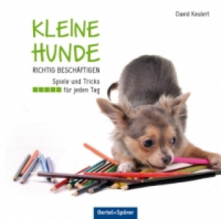 Könyv Kleine Hunde richtig beschäftigen David Keulert