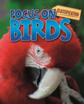 Kniha Classification: Focus on: Birds Stephen Savage