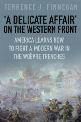 Książka 'A Delicate Affair' on the Western Front Colonel Terrence Finnegan