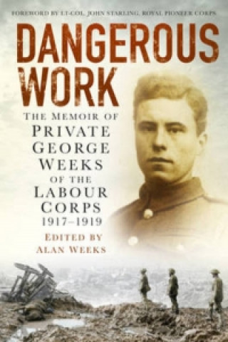 Kniha Dangerous Work Alan Weeks