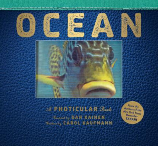 Книга Ocean Dan Kainen