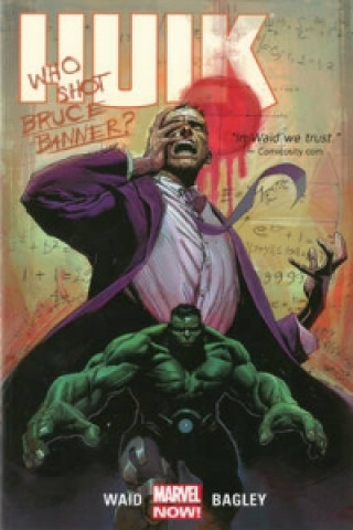 Kniha Hulk Volume 1: Banner DOA Mark Waid