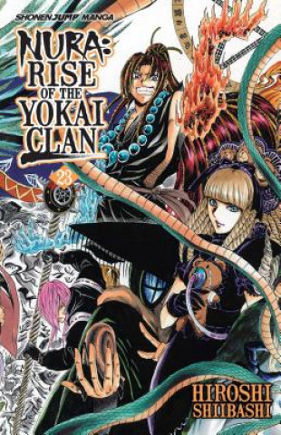 Kniha Nura: Rise of the Yokai Clan, Vol. 23 Hiroshi Shiibashi