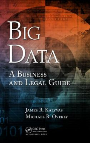 Könyv Big Data James R Kalyvas