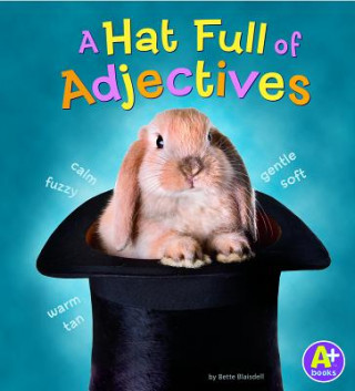 Könyv Hat Full of Adjectives Bette Ann Blaisdell