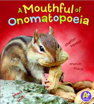 Kniha Mouthful of Onomatopoeia Bette Ann Blaisdell