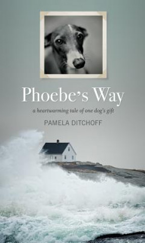 Könyv Phoebe's Way Pamela Ditchoff