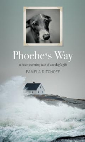 Libro Phoebe's Way Pamela Ditchoff