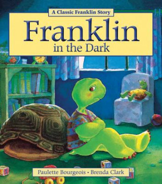 Kniha Franklin in the Dark Paulette Bourgeois