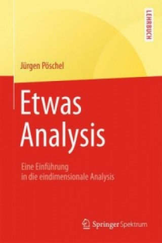 Kniha Etwas Analysis Jürgen Pöschel