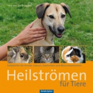 Kniha Heilströmen für Tiere 