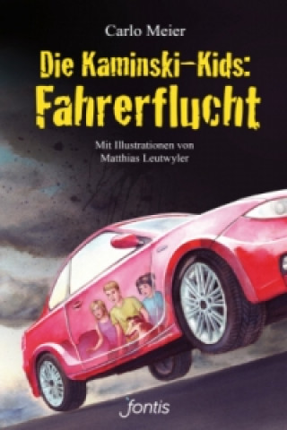 Buch Die Kaminski-Kids - Fahrerflucht Carlo Meier