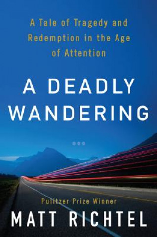 Buch Deadly Wandering Matt Richtel
