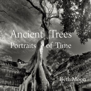 Книга Ancient Trees Beth Moon