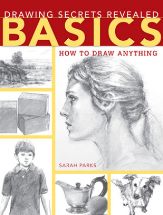 Kniha Drawing Secrets Revealed - Basics Sarah Parks