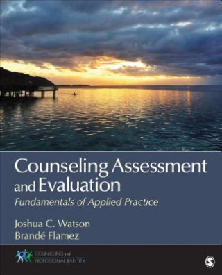 Kniha Counseling Assessment and Evaluation Joshua Watson