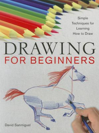 Kniha Drawing for Beginners David Sanmiguel