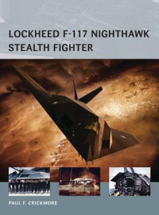 Carte Lockheed F-117 Nighthawk Stealth Fighter Paul F. Crickmore