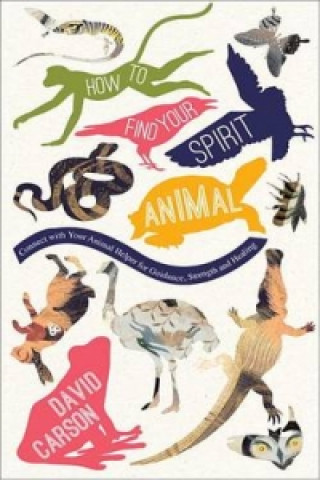Kniha How to Find Your Spirit Animal David Carson