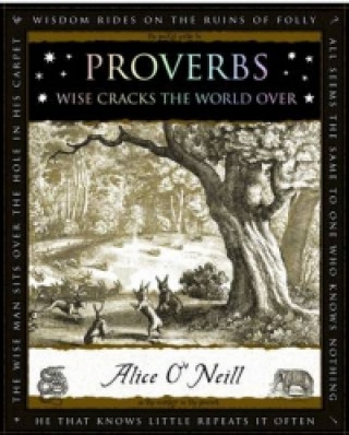 Kniha Proverbs Hector McDonnell