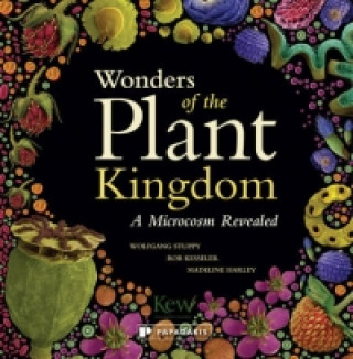 Könyv Wonders of the Plant Kingdom: A Microcosm Revealed Wolfgang Stuppy & Rob Kesseler