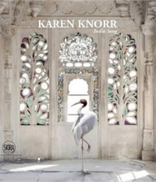 Könyv Karen Knorr Rosa Falvo