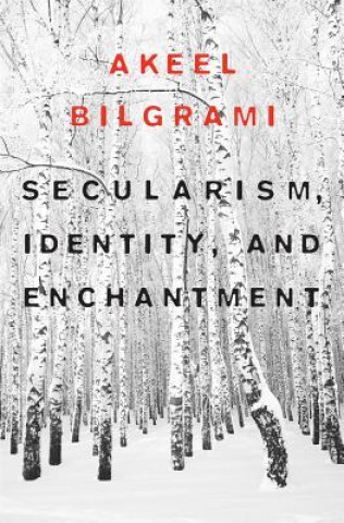 Könyv Secularism, Identity, and Enchantment Akeel Bilgrami