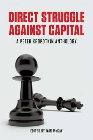 Könyv Direct Struggle Against Capital Iain McKay