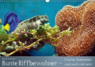 Kalender/Terminbuch Bunte Riffbewohner - Fische, Anemonen und noch viel mehr (Wandkalender immerwährend DIN A3 quer) Bianca Schumann