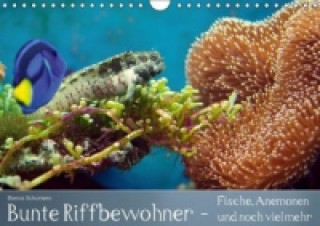 Calendar / Agendă Bunte Riffbewohner - Fische, Anemonen und noch viel mehr (Wandkalender immerwährend DIN A4 quer) Bianca Schumann