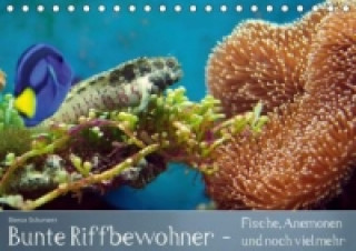 Kalendár/Diár Bunte Riffbewohner - Fische, Anemonen und noch viel mehr (Tischkalender immerwährend DIN A5 quer) Bianca Schumann