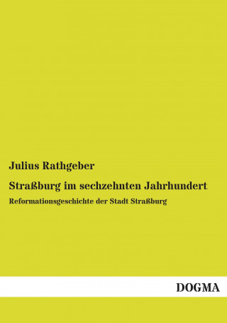 Buch Straßburg im sechzehnten Jahrhundert Julius Rathgeber