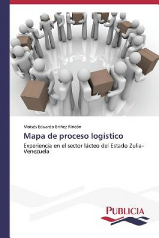 Kniha Mapa de proceso logistico Brinez Rincon Moises Eduardo