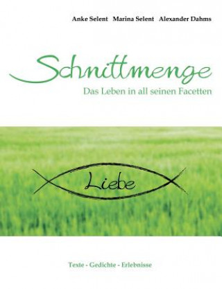 Kniha Schnittmenge Liebe Anke Selent