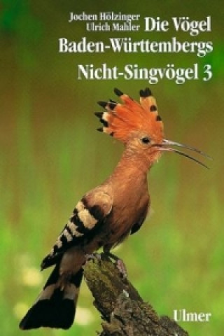 Buch Die Vögel Baden-Württembergs. (Avifauna Baden-Württembergs) / Die Vögel Baden-Württembergs Band 2.3 - Nicht-Singvögel 3. Tl.3 Jochen Hölzinger