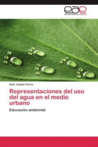 Kniha Representaciones del uso del agua en el medio urbano Raúl Calixto Flores