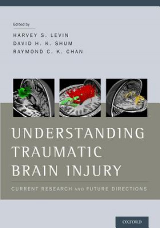 Könyv Understanding Traumatic Brain Injury Harvey Levin